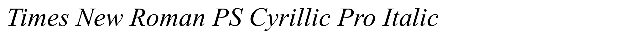 Times New Roman PS Cyrillic Pro Italic image
